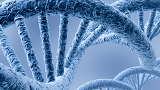 Solid-State Systems Could Sequence a Genome For $100